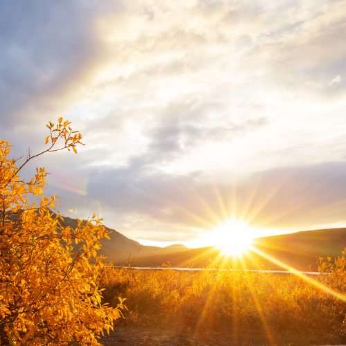 T-Shirts, Hoodies and other apparel